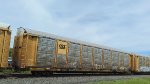 CSXT B11542 (Body) TTGX 975650 (Flat)